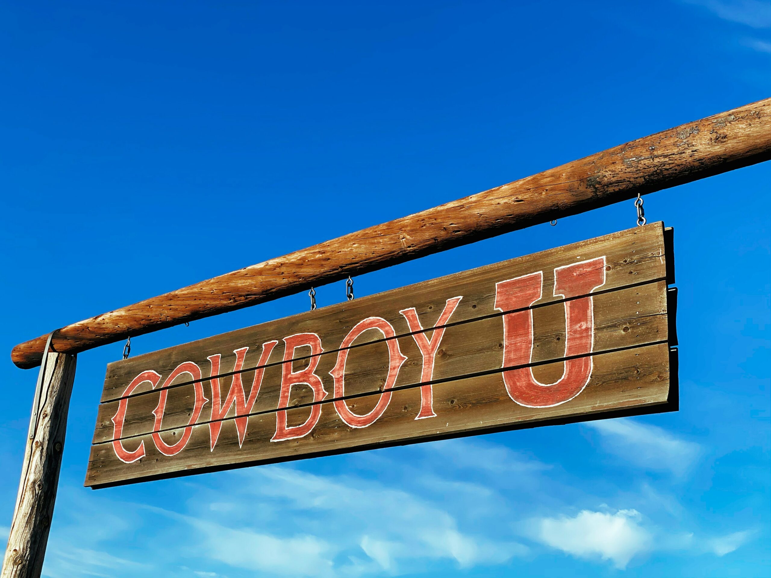 The COBOL Cowboys: The story of a modern western in the banking world